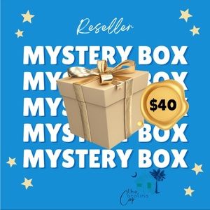 REDUCED! Resale Box, or not, 4 item Torrid & Lane Bryant (4 Pieces) - Plus Sized